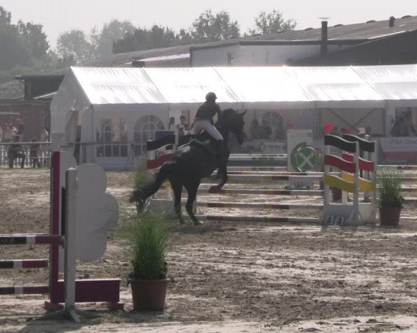 Reitturnier Datteln 2023