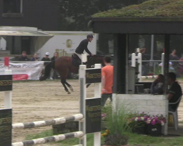 Reitturnier Datteln 2023