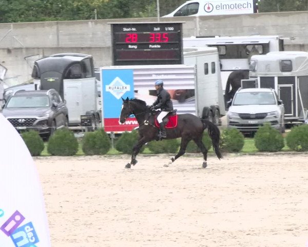 Reitturnier Basel Schänzli 2021