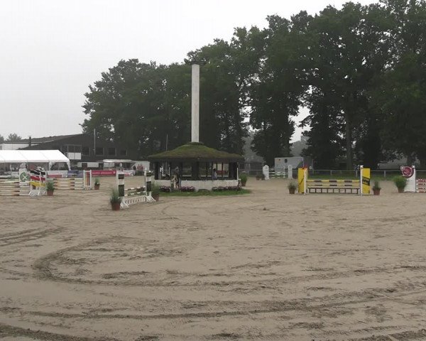 Reitturnier Datteln 2023