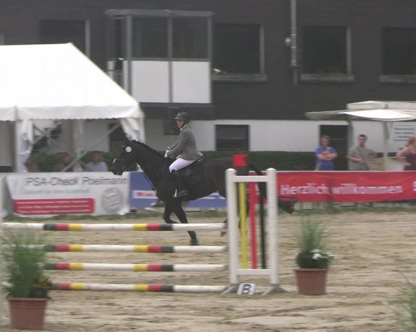 Reitturnier Datteln 2023