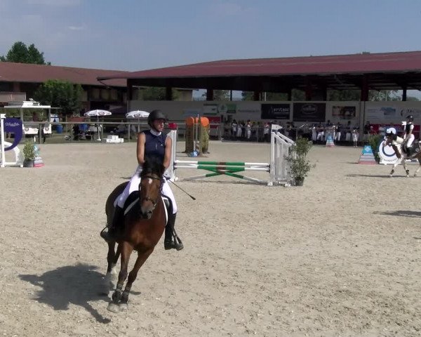Reitturnier Dompierre 2023