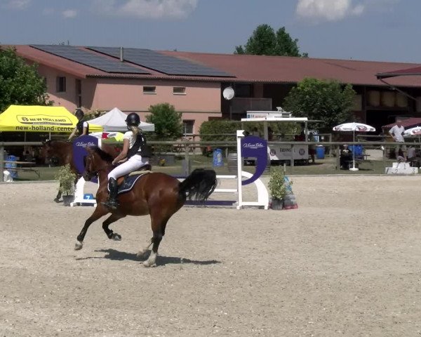 Reitturnier Dompierre 2023