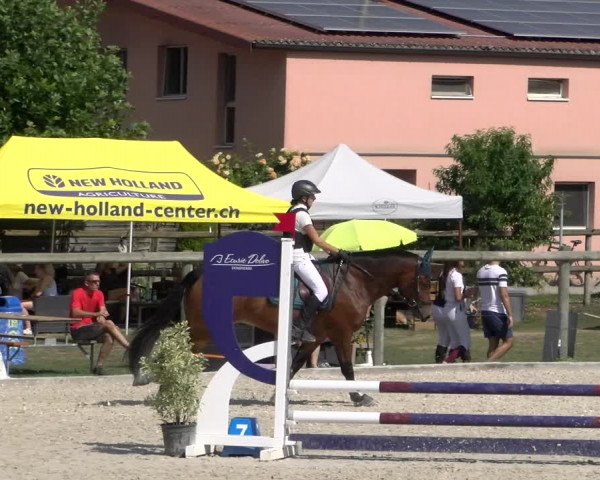 Reitturnier Dompierre 2023