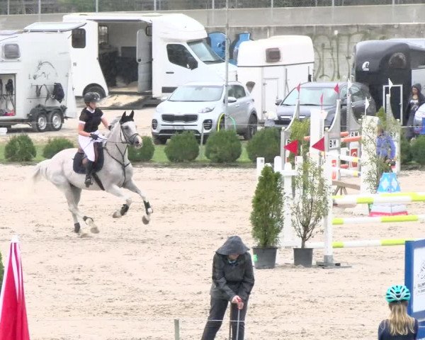 Reitturnier Basel Schänzli 2021