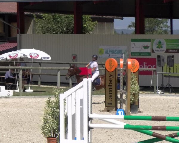 Reitturnier Dompierre 2023