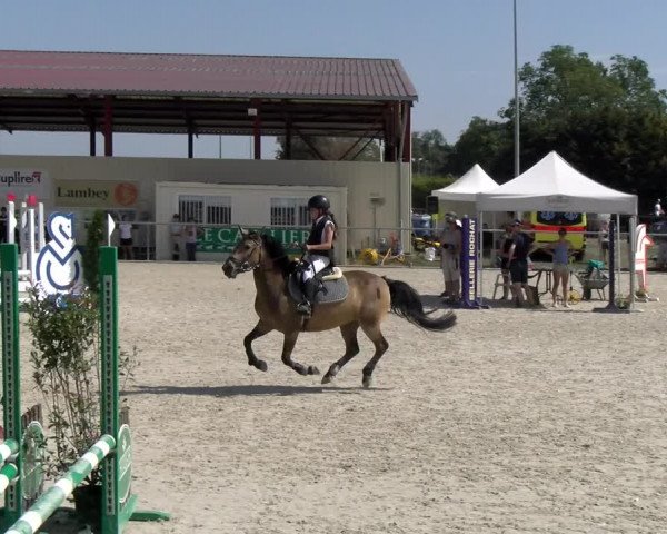 Reitturnier Dompierre 2023