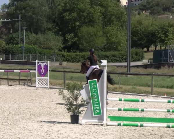 Reitturnier Dompierre 2023