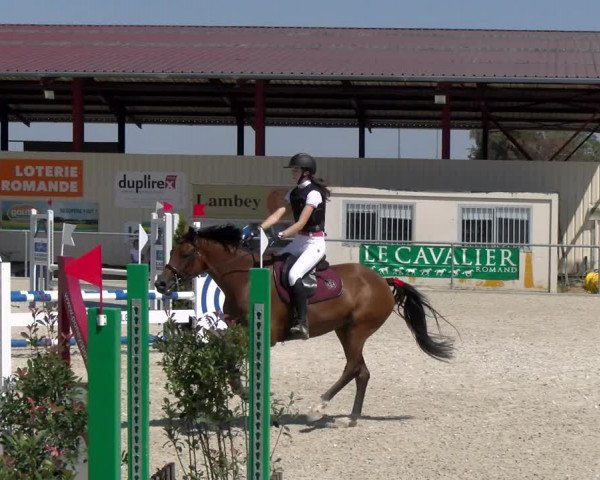 Reitturnier Dompierre 2023
