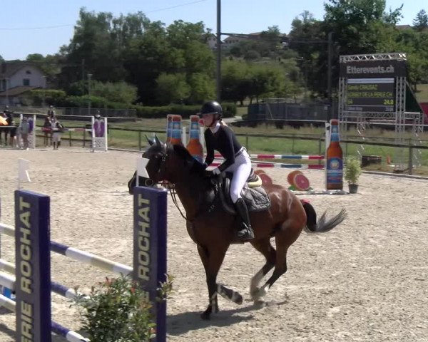 Reitturnier Dompierre 2023
