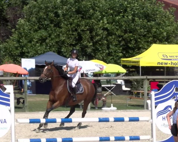 Reitturnier Dompierre 2023