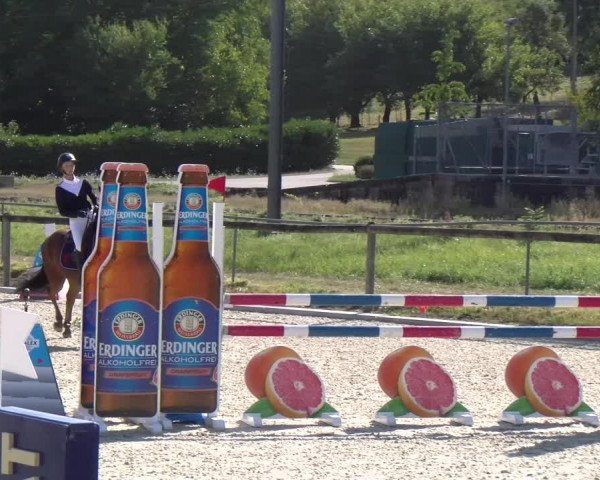 Reitturnier Dompierre 2023