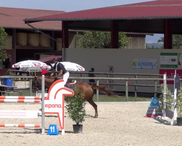 Reitturnier Dompierre 2023
