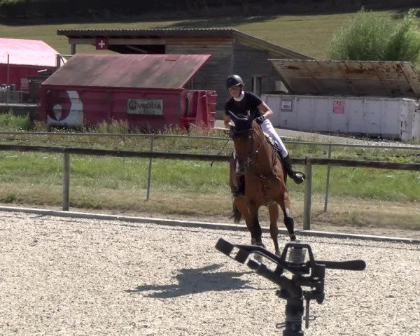 Reitturnier Dompierre 2023