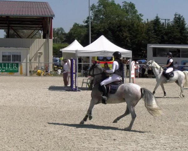 Reitturnier Dompierre 2023