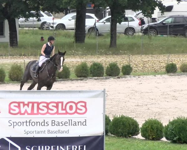 Reitturnier Basel Schänzli 2021