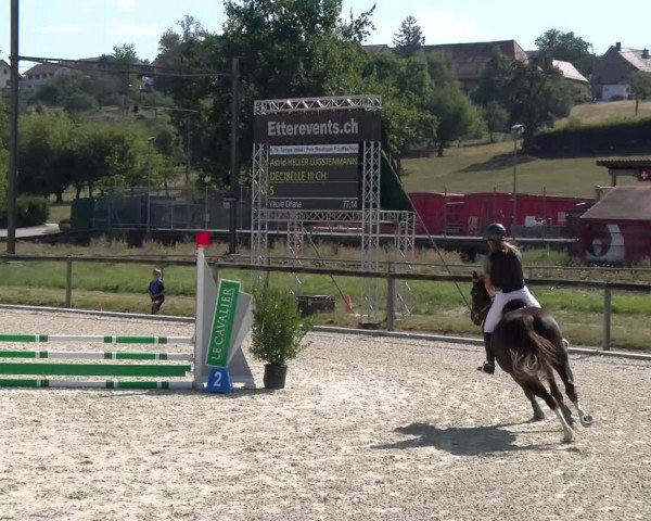 Reitturnier Dompierre 2023