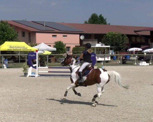 Reitturnier Dompierre 2023