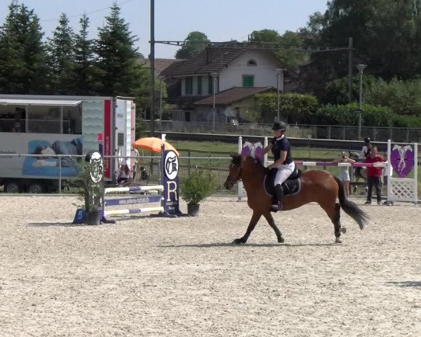 Reitturnier Dompierre 2023