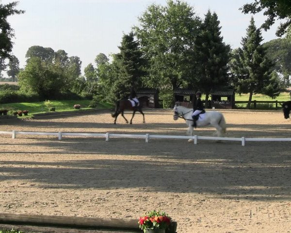 Reitturnier Datteln 2023