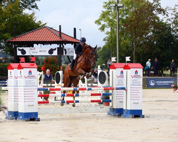Springpferd Nonetta vd Watermoelen (KWPN (Niederländisches Warmblut), 2018, von Fibonacci)