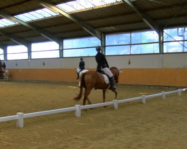 Reitturnier Datteln 2023