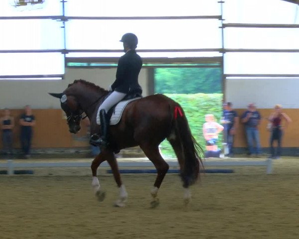 Reitturnier Datteln 2023
