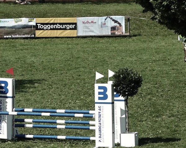 Reitturnier Aadorf 2023