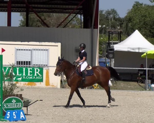 Reitturnier Dompierre 2023