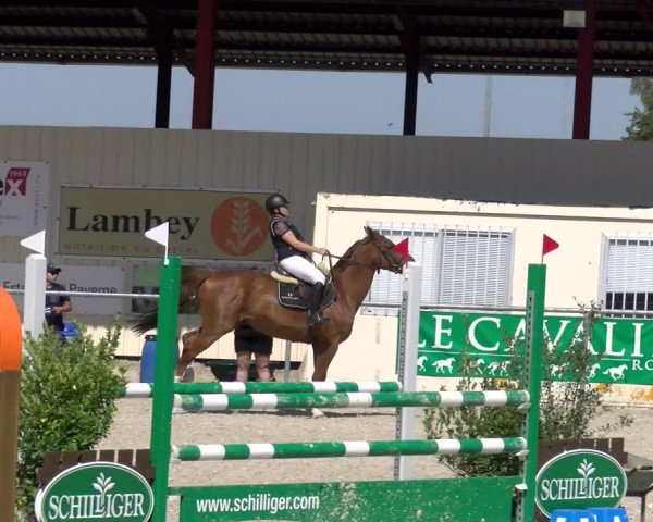 Reitturnier Dompierre 2023