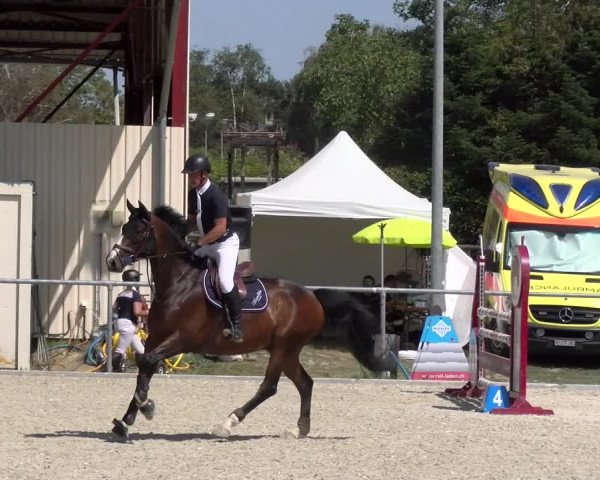 Reitturnier Dompierre 2023