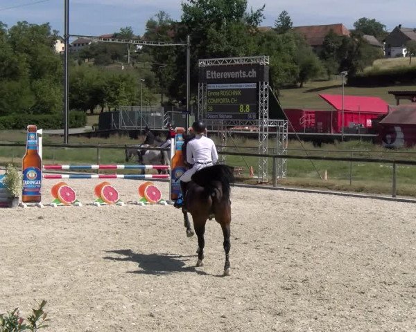 Reitturnier Dompierre 2023