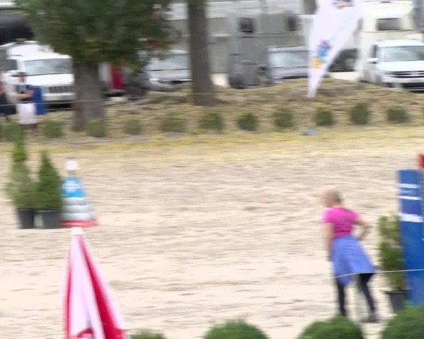 Reitturnier Basel Schänzli 2021