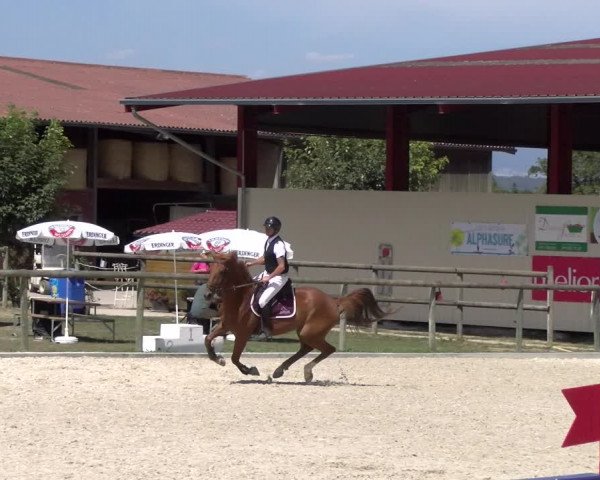 Reitturnier Dompierre 2023