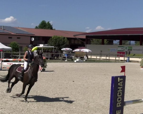 Reitturnier Dompierre 2023