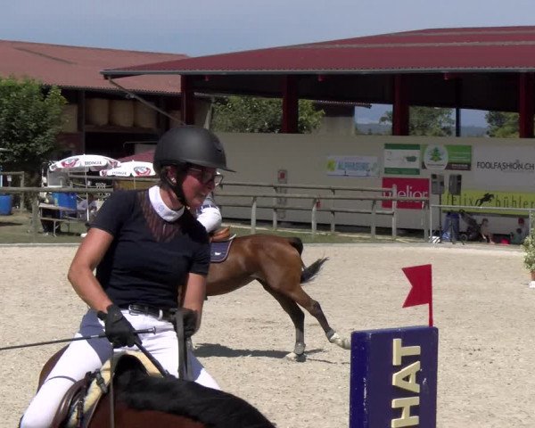 Reitturnier Dompierre 2023