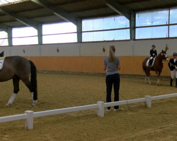 Reitturnier Datteln 2023