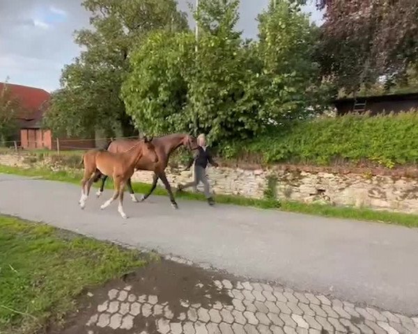 Video of Benito