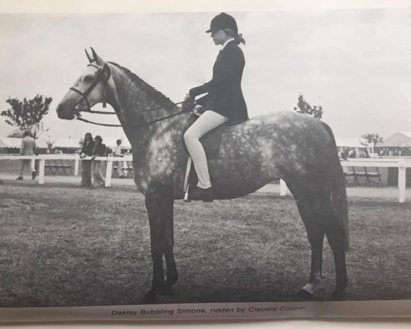 Zuchtstute Oakley Bubbling Simone (British Riding Pony, 1971, von Bwlch Hill Wind)