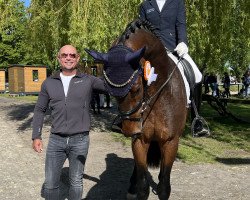 Dressurpferd Jackman FD (Westfale, 2020, von Jovian)
