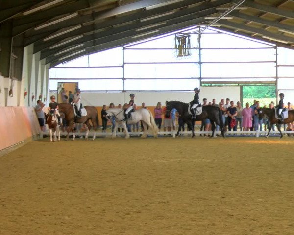 Reitturnier Datteln 2023
