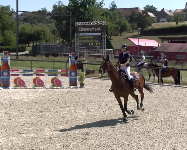 Reitturnier Dompierre 2023