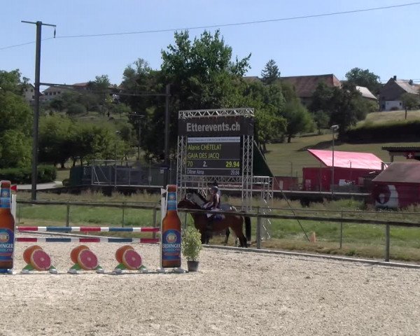 Reitturnier Dompierre 2023