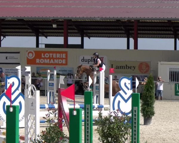 Reitturnier Dompierre 2023