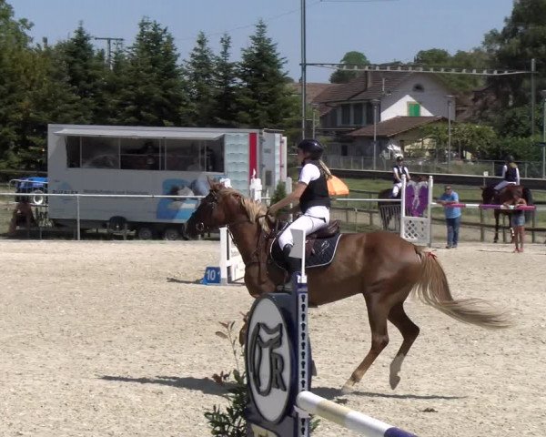 Reitturnier Dompierre 2023