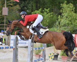 jumper Indimill A (anglo european sporthorse, 2013, from Peppermill)
