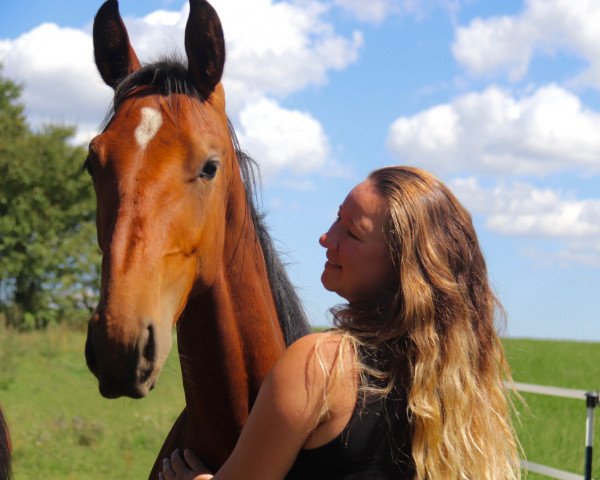 horse Catch my secret (German Sport Horse, 2022, from Van Cordoba)