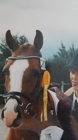 Zuchtstute Trefoil First Symphony (Deutsches Reitpony, 1992, von Trefoil Lord Nelson)