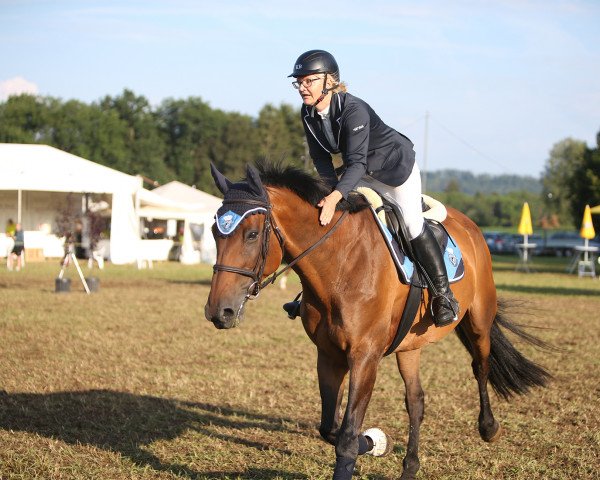 jumper Imprevue CH (Swiss Warmblood, 2010, from Fakir des Bruyères)