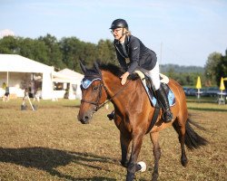jumper Imprevue CH (Swiss Warmblood, 2010, from Fakir des Bruyères)